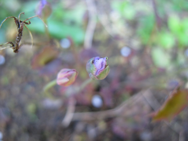 a0052762_222983.jpg