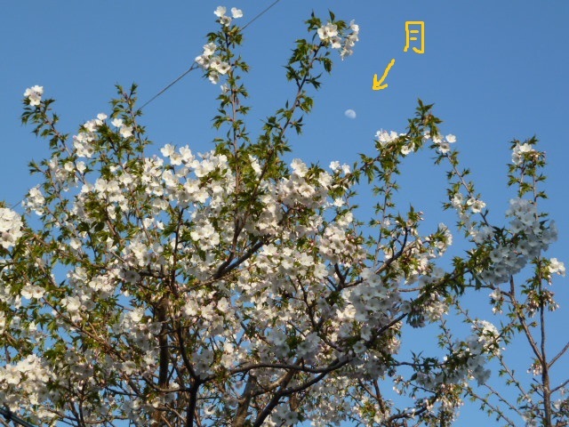 e0278968_21522314.jpg