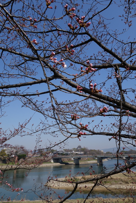 c0216472_13215835.jpg