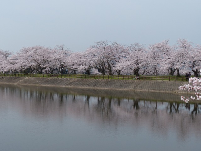 f0357487_22294845.jpg