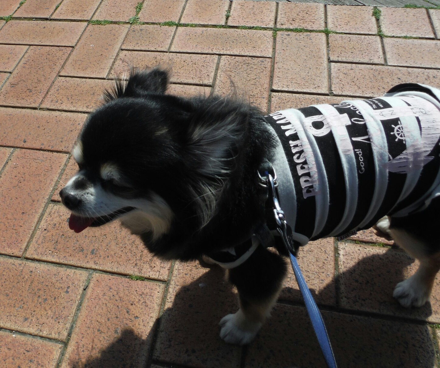 b0003089_11093729.jpg