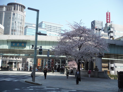 b0003089_11102356.jpg