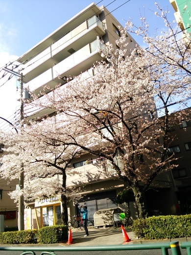 b0003089_11103660.jpg