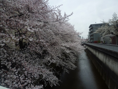 c0123890_2014913.jpg