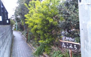 b0205694_2130327.jpg