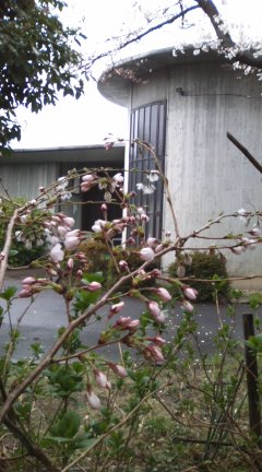 b0205694_21314328.jpg