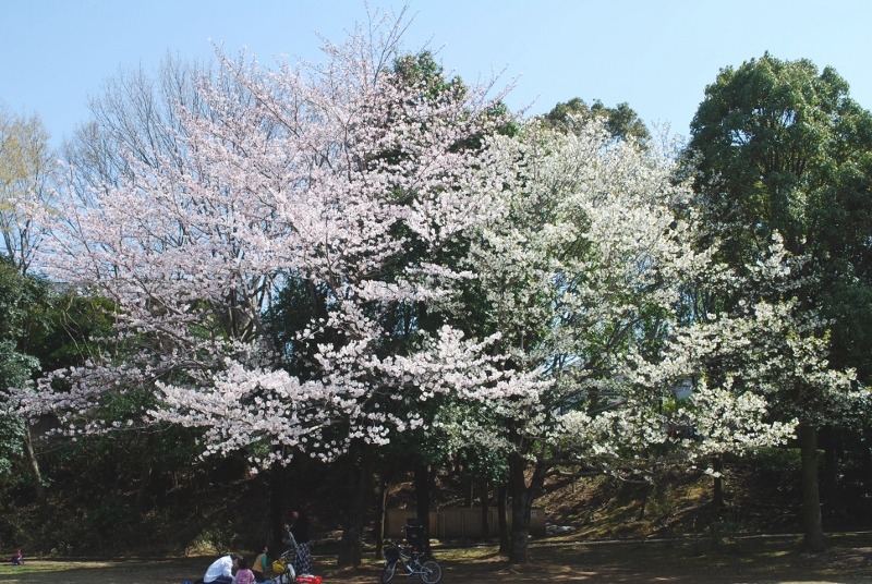 e0025300_18533375.jpg