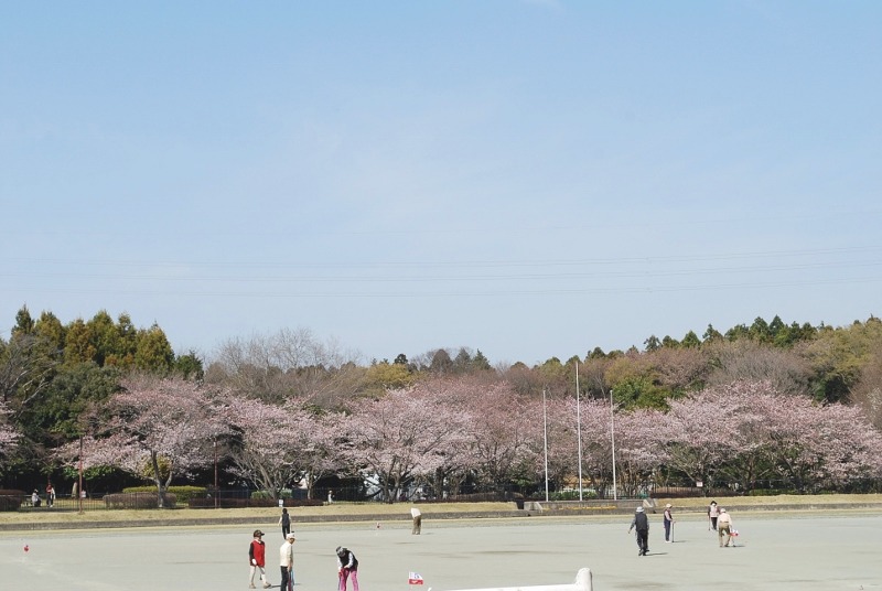 e0025300_18574025.jpg