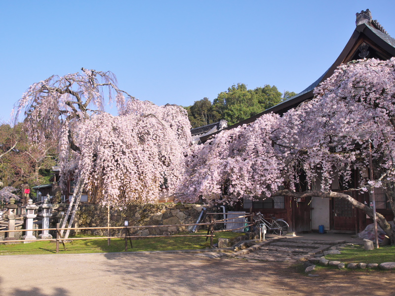c0043403_2285527.jpg