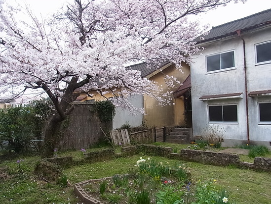 c0238603_1425515.jpg