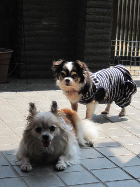 f0197703_17283833.jpg