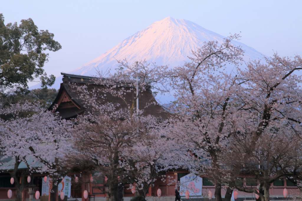 a0188405_06043415.jpg