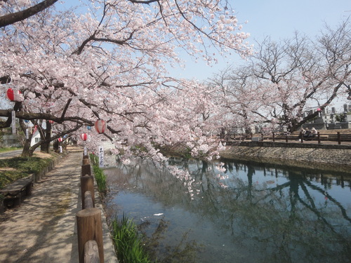 f0231709_1517863.jpg