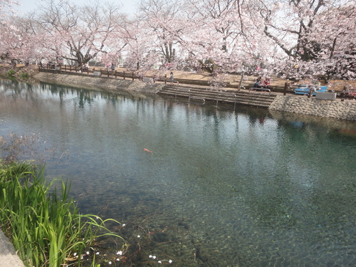 f0231709_15315451.jpg