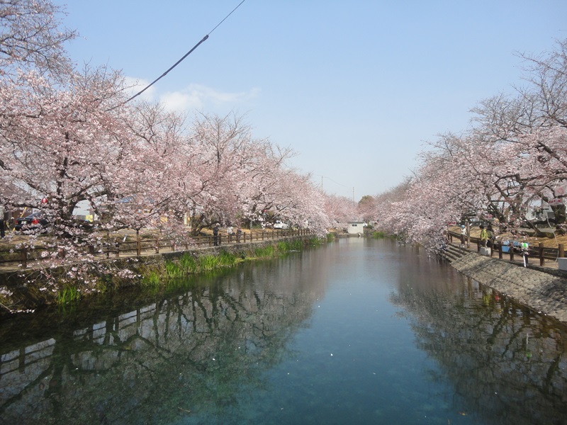 f0231709_15405749.jpg