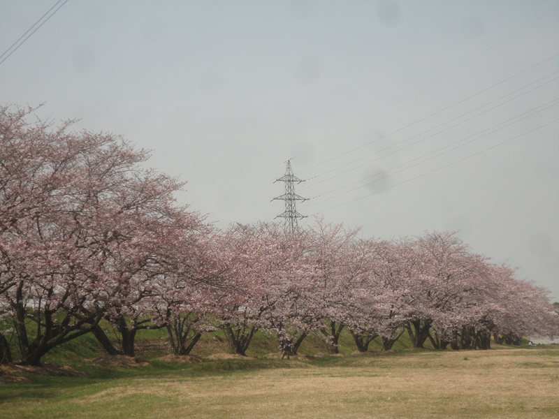 f0231709_16384826.jpg
