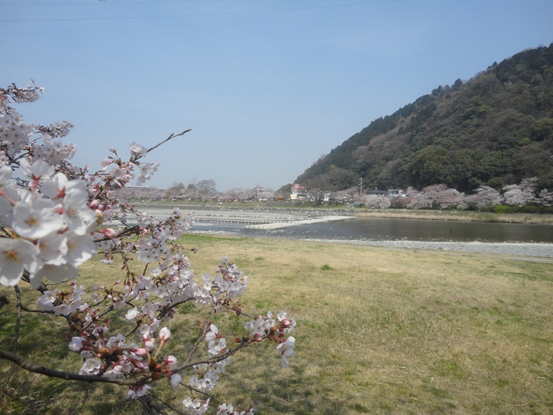 f0231709_16462100.jpg