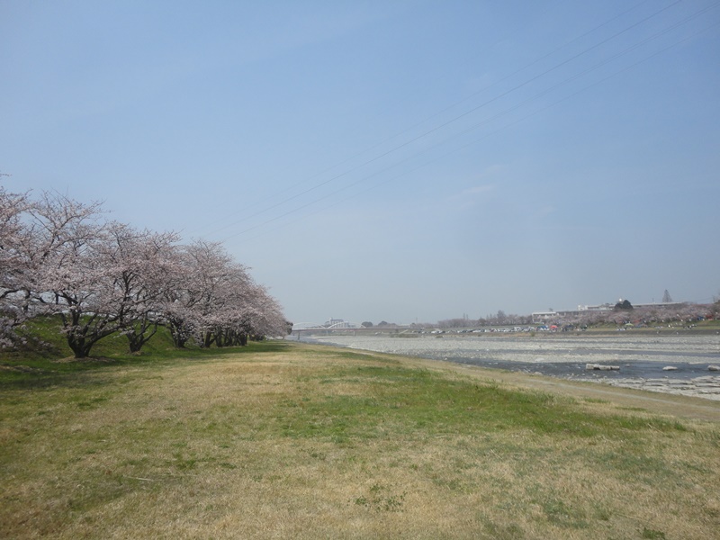 f0231709_1647021.jpg