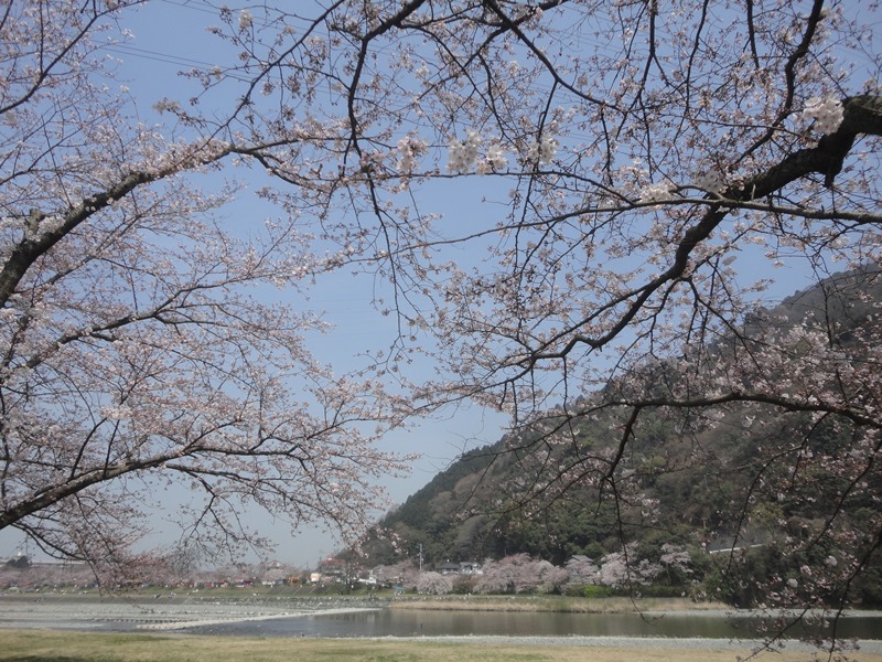 f0231709_16481058.jpg