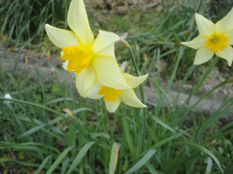 f0231709_18504343.jpg