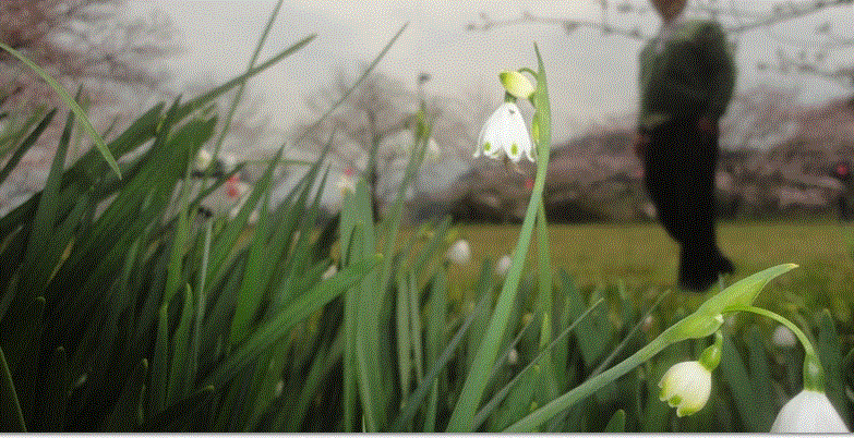 f0231709_1904139.gif