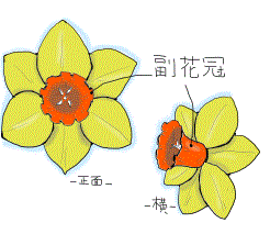f0231709_1911832.gif