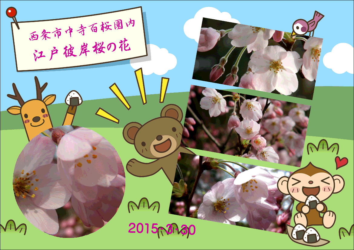 f0231709_9145582.gif