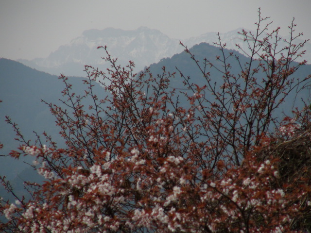f0231709_9161013.jpg