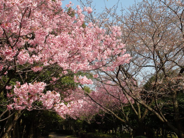 f0231709_9174522.jpg
