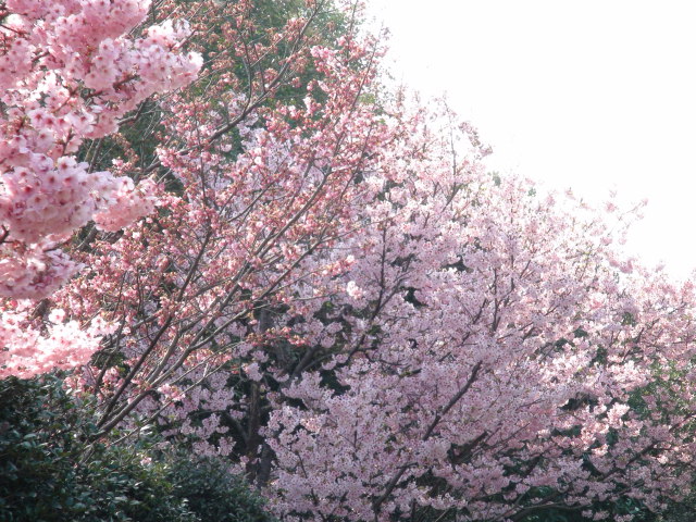 f0231709_9184492.jpg