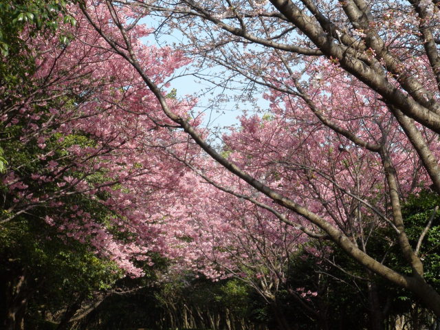 f0231709_9201824.jpg