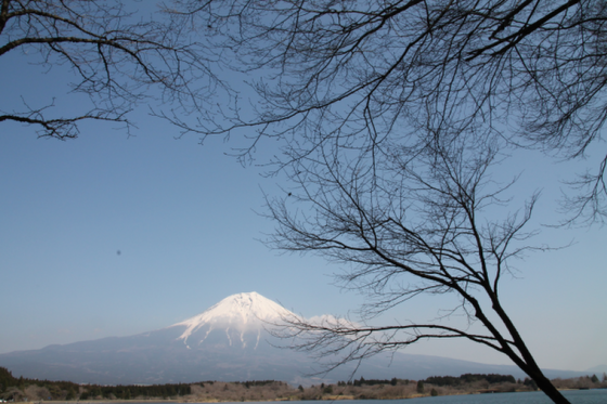 d0160611_19360912.png