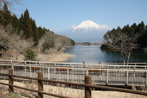 d0160611_19501517.png