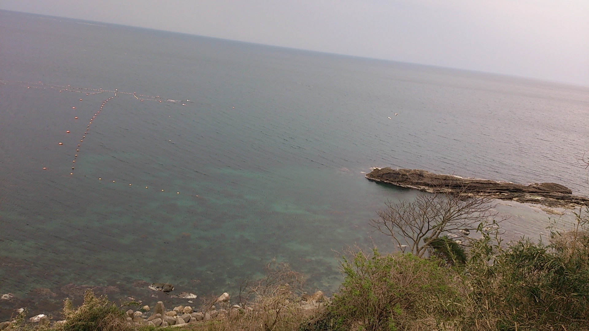 a0326912_10224840.jpg