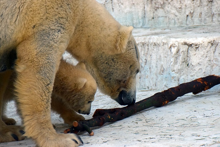 a0151913_0213641.jpg