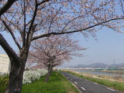 b0326613_22345385.jpg