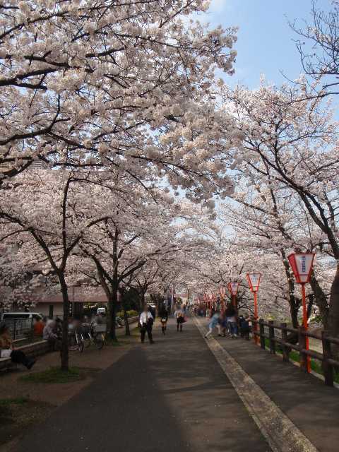 b0326613_22464641.jpg