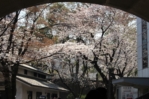 c0338613_21314862.jpg