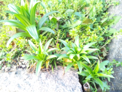 f0228619_826341.jpg