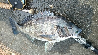 b0259124_2044221.jpg