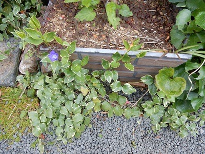 e0033229_20263969.jpg