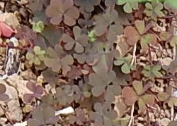 e0033229_20422179.jpg