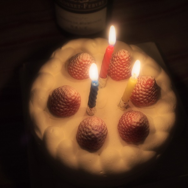 a0148431_22260747.jpg