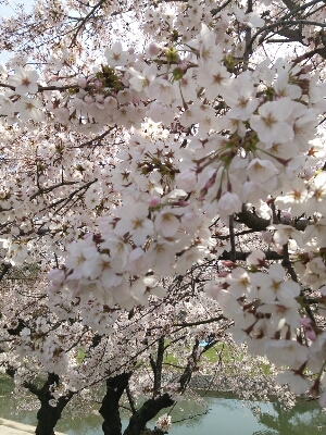 f0126934_15504074.jpg