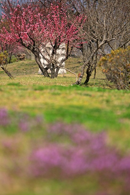 a0242438_19422570.jpg