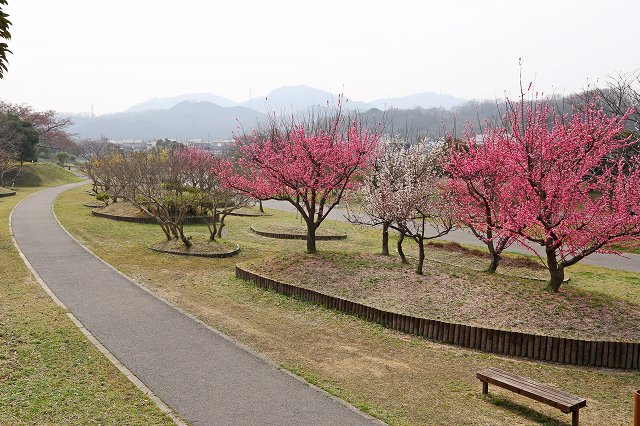 a0242438_19445095.jpg