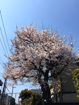 f0141840_01222037.jpg