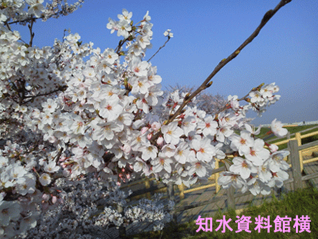 c0098148_102135100.gif