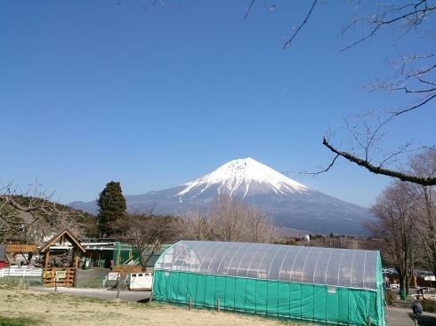 d0068151_10474322.jpg