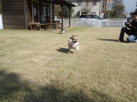 b0306158_14174890.jpg